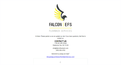 Desktop Screenshot of falconflowback.com